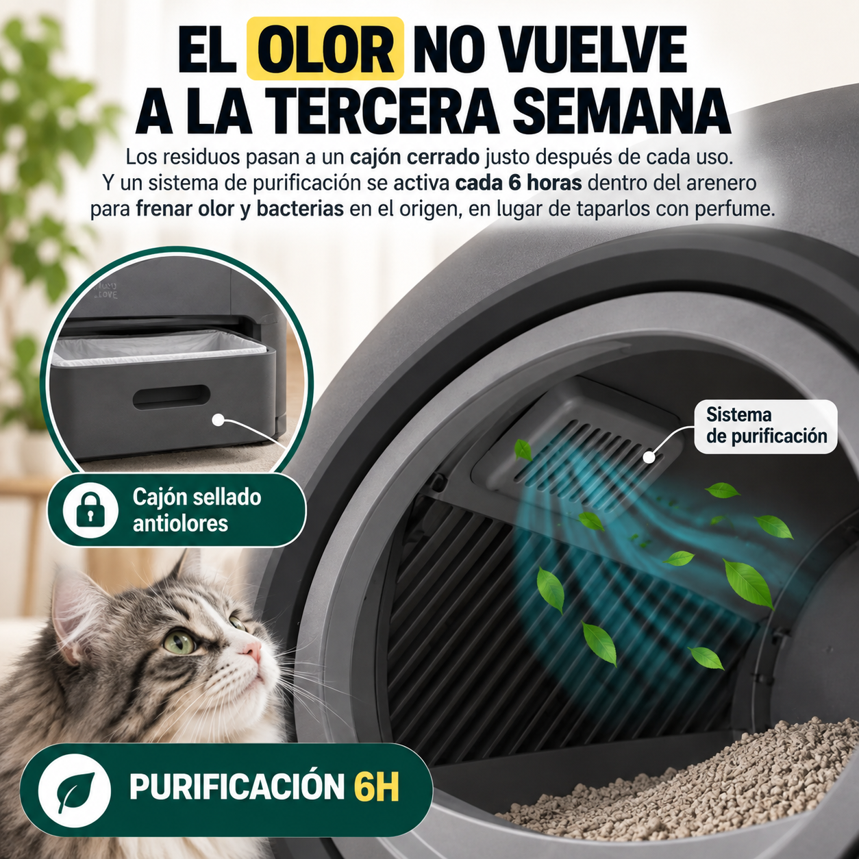El olor que tú ya no notas, pero tus visitas sí
