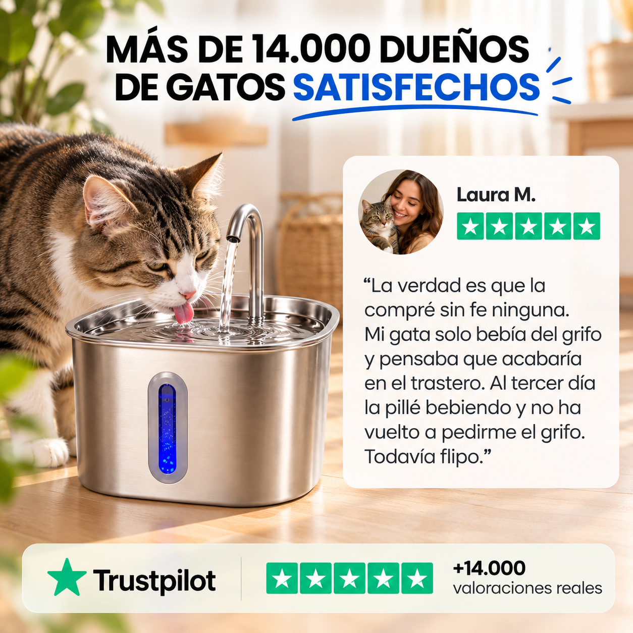 CatVitalis™ – La fuente que hace que tu gato quiera beber
