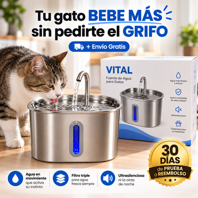 CatVitalis™ – La fuente que hace que tu gato quiera beber