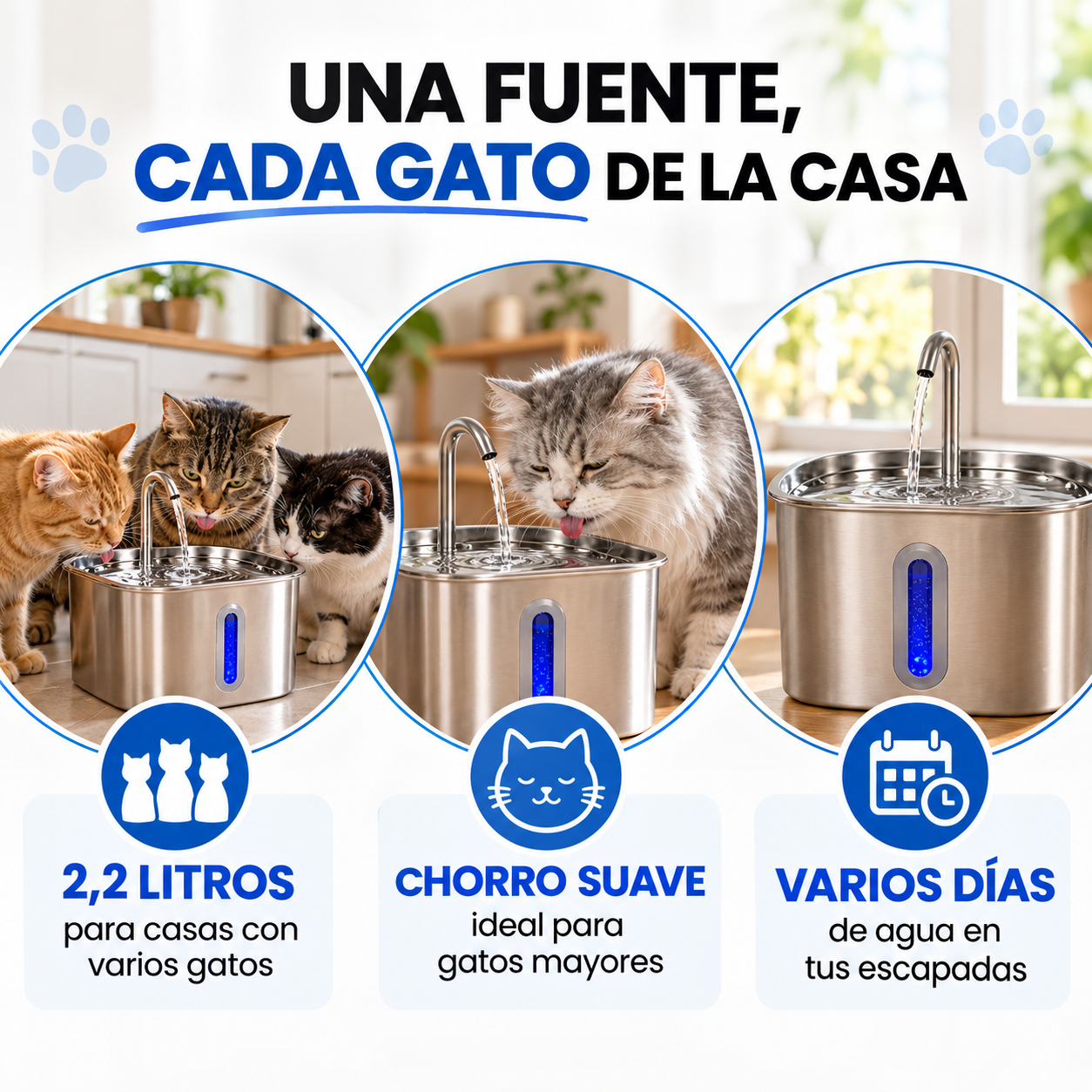 CatVitalis™ – La fuente que hace que tu gato quiera beber