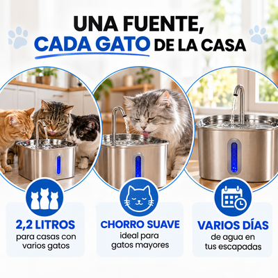 CatVitalis™ – La fuente que hace que tu gato quiera beber