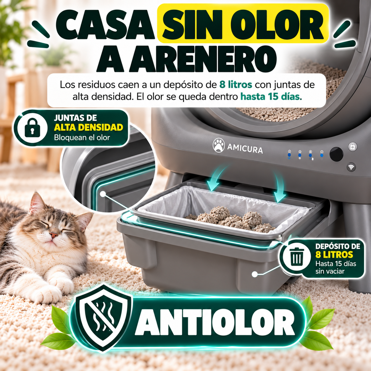 Una casa que huele a casa, no a gato